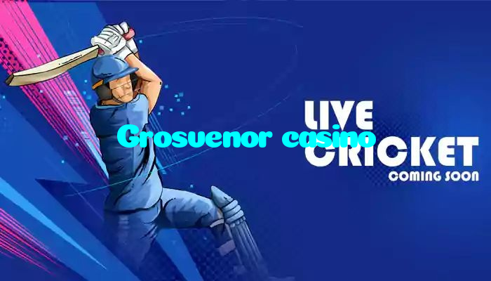 Grosvenor casino casino presented on mobile device in Pakistan with slots and live games